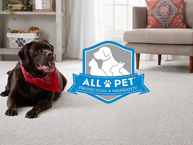 All Pet® is backed by our Pet® Protection & Warranty